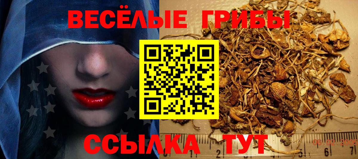 Псилоцибиновые грибы Cubensis  цены наркотик  Симферополь  Вход с VPN 