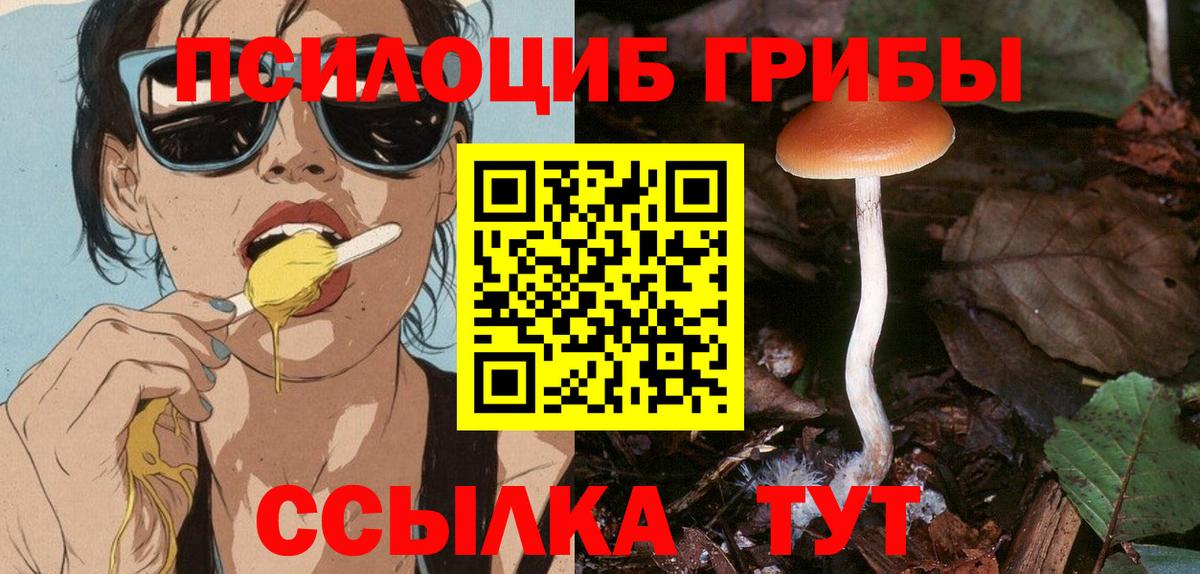 Псилоцибиновые грибы Симферополь